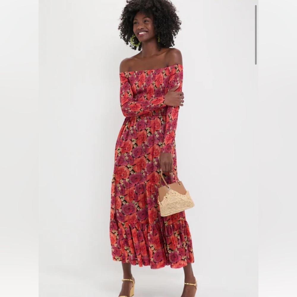 Tuckernuck / Pomander Place Rose Chiffon Joni Dress